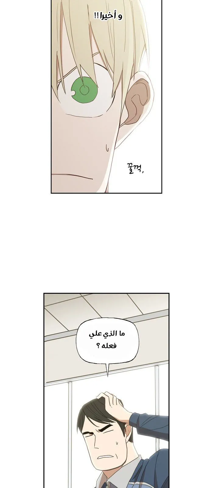 Read The Boxer AR Manga Online
