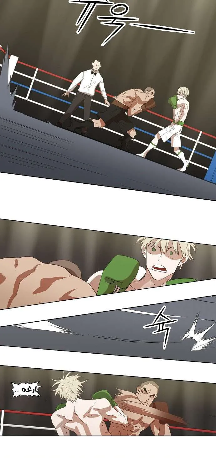 Read The Boxer AR Manga Online
