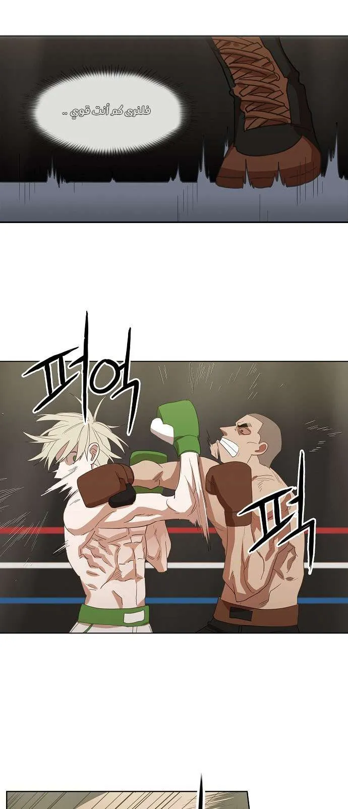 Read The Boxer AR Manga Online