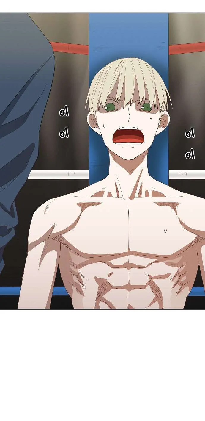 Read The Boxer AR Manga Online