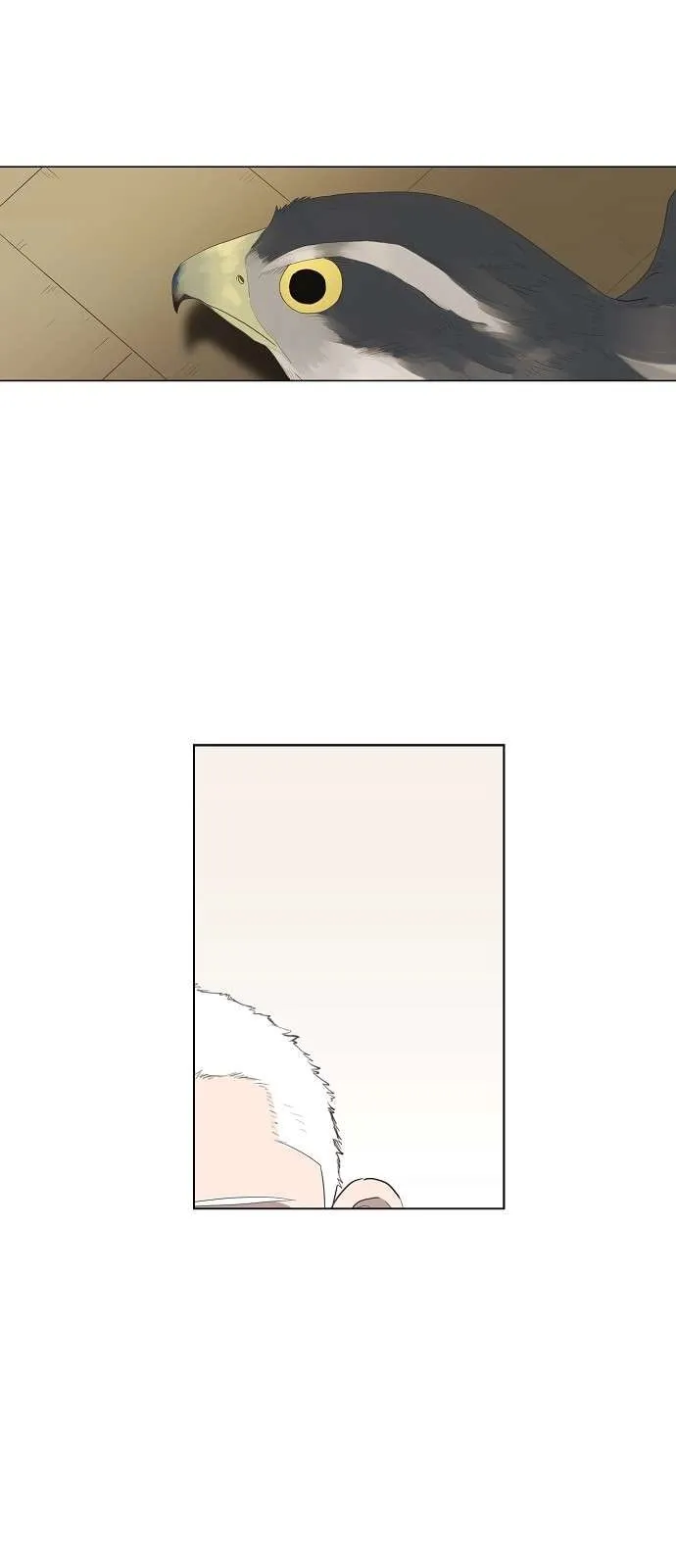 Read The Boxer AR Manga Online