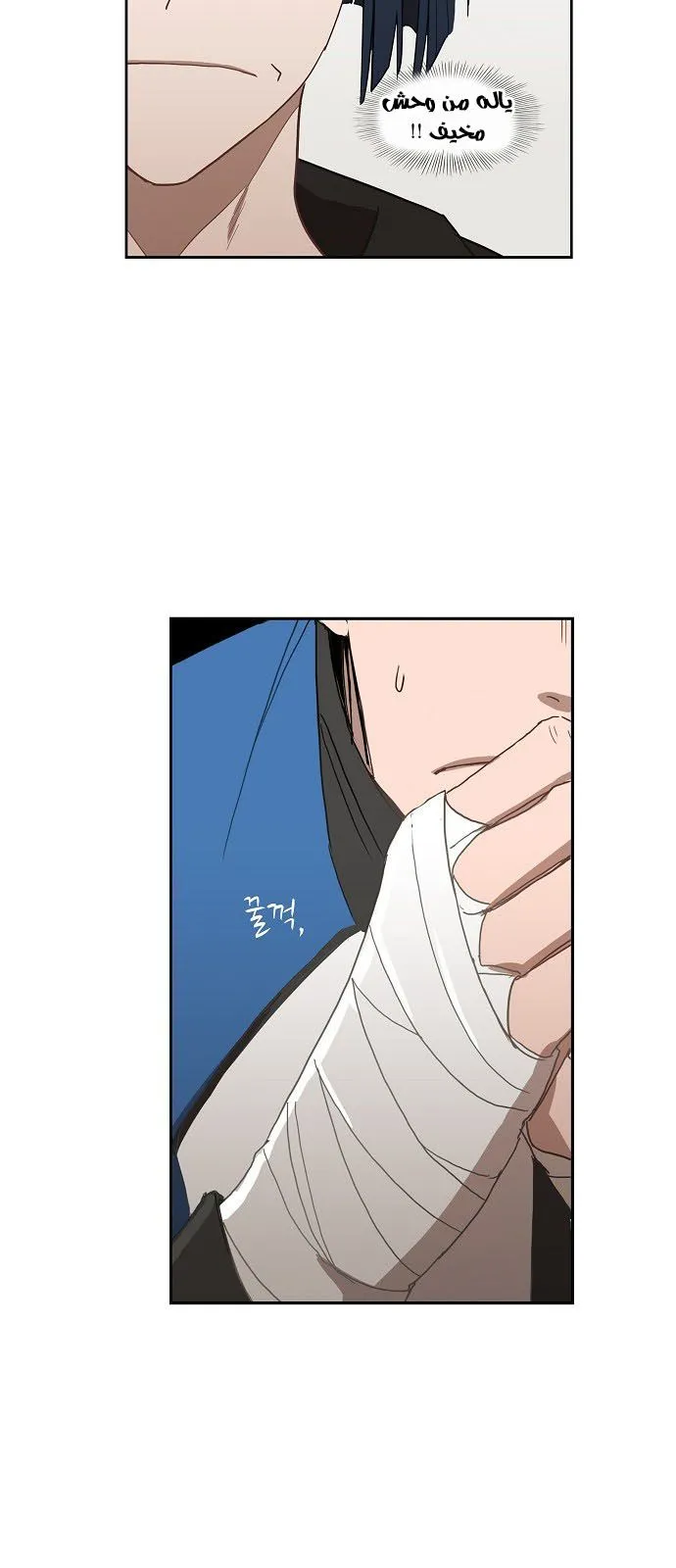 Read The Boxer AR Manga Online