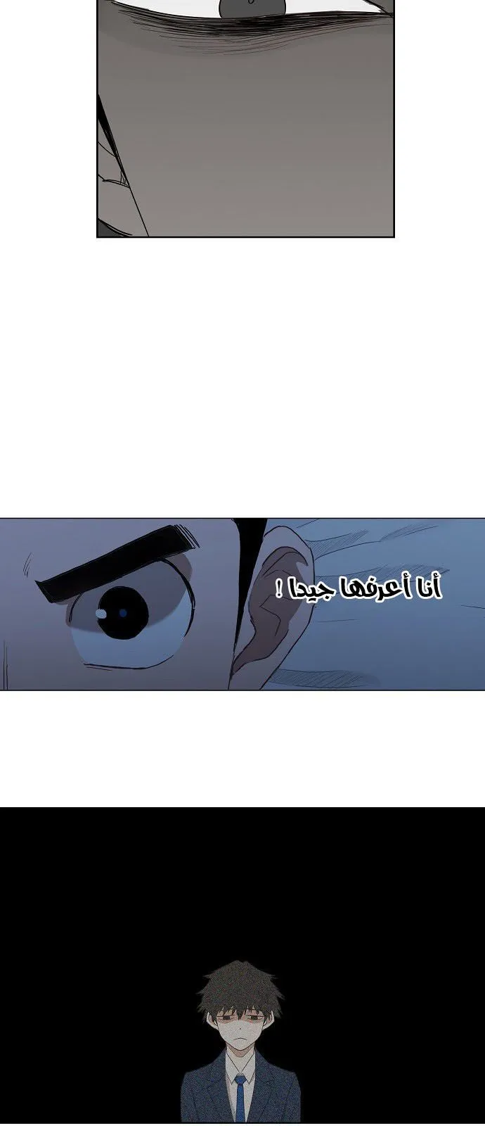 Read The Boxer AR Manga Online
