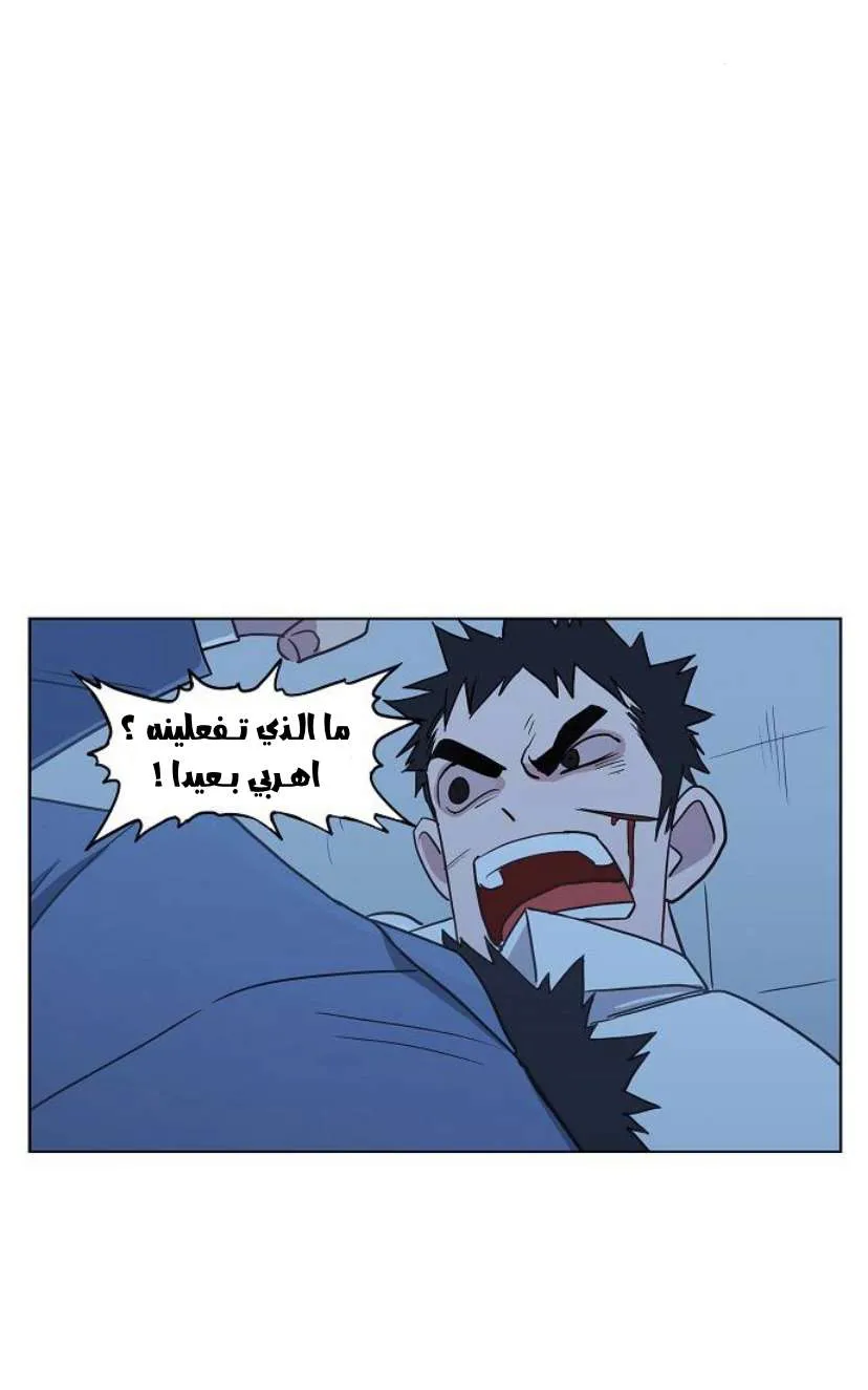 Read The Boxer AR Manga Online