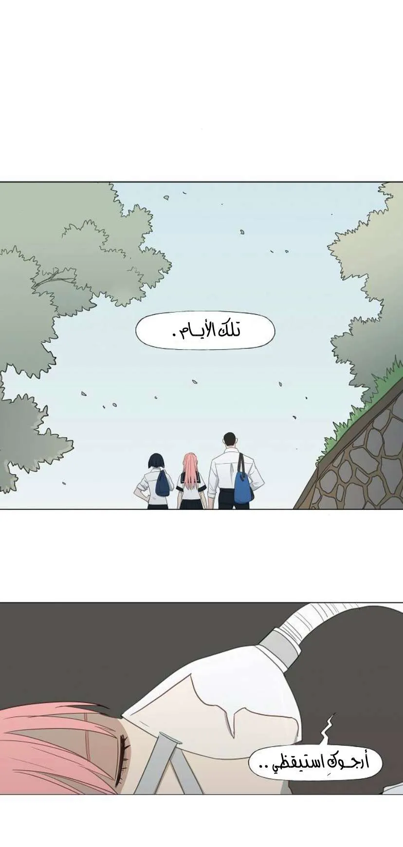 Read The Boxer AR Manga Online