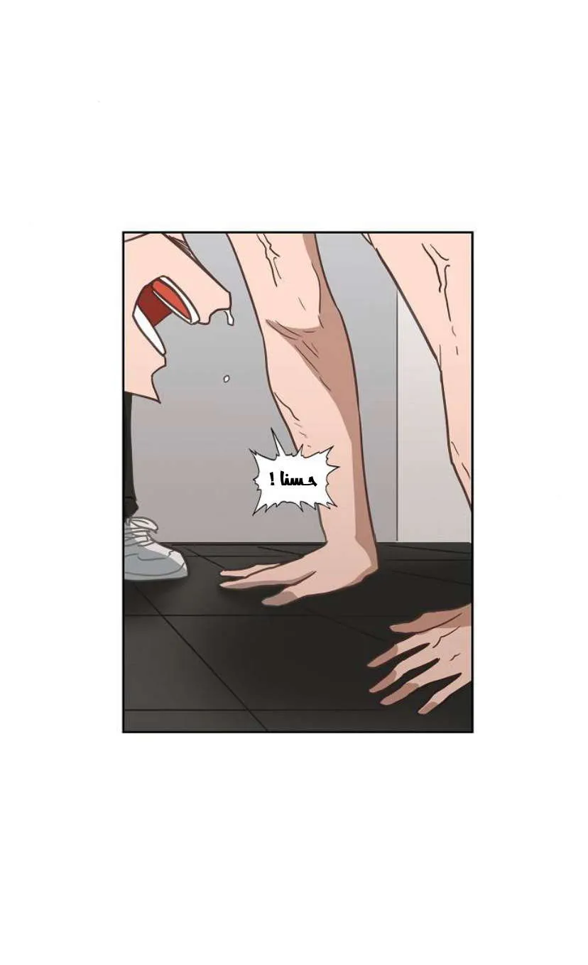 Read The Boxer AR Manga Online