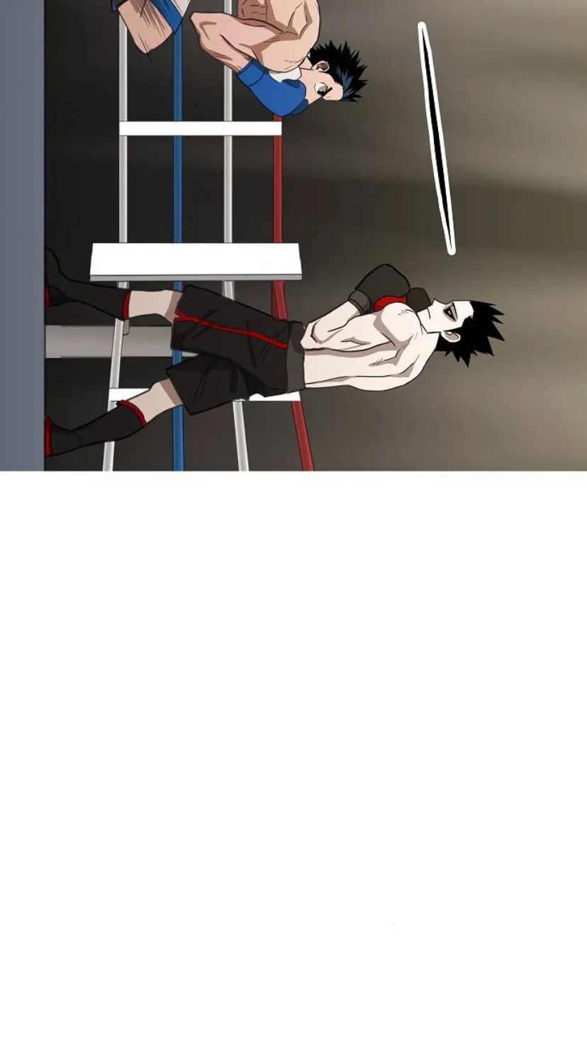 Read The Boxer AR Manga Online