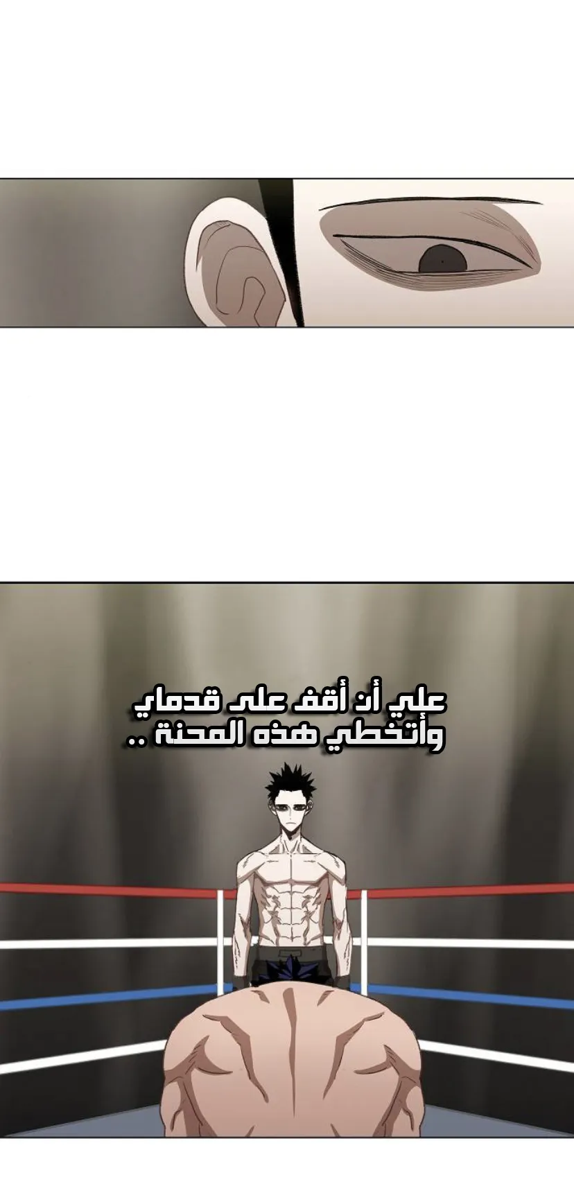 Read The Boxer AR Manga Online