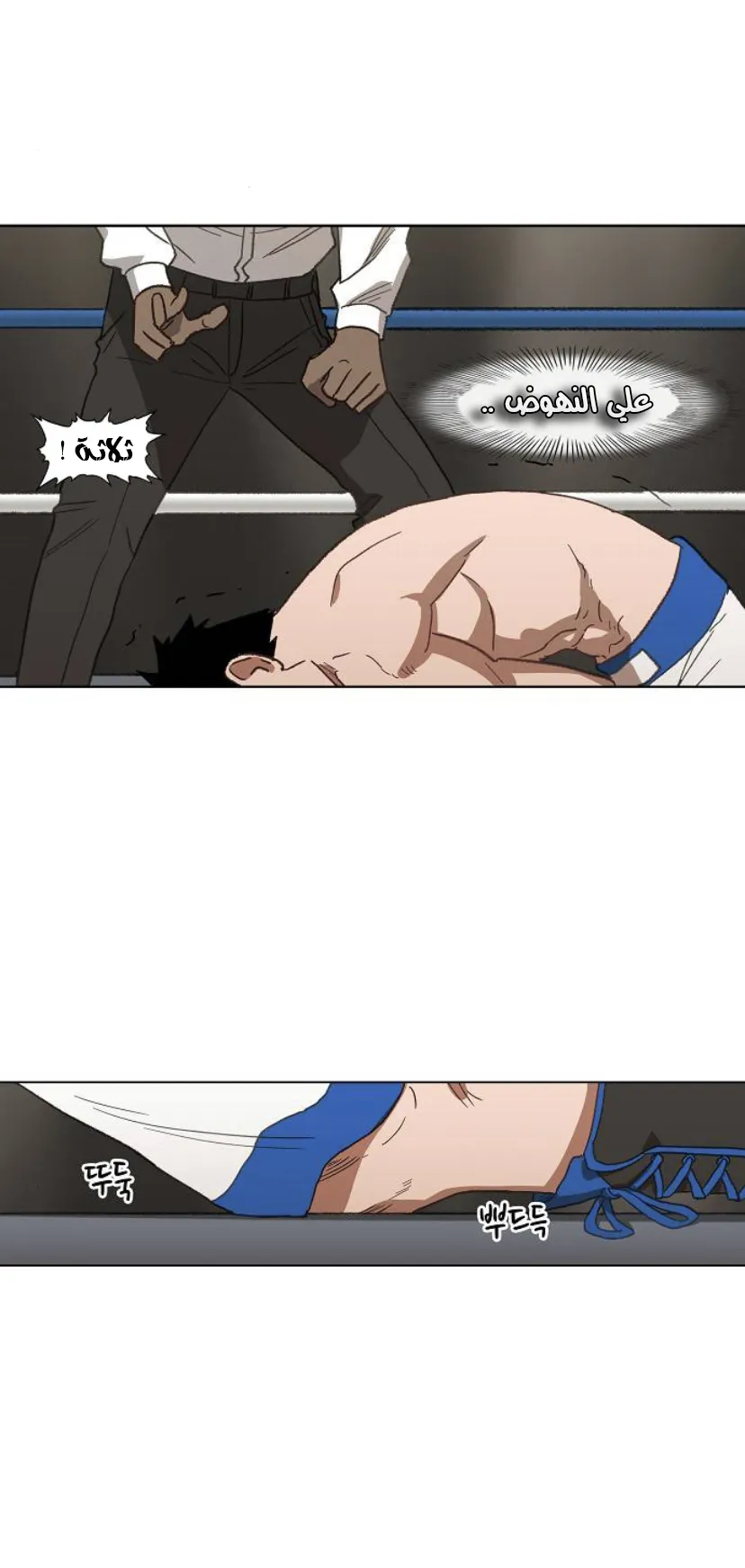 Read The Boxer AR Manga Online