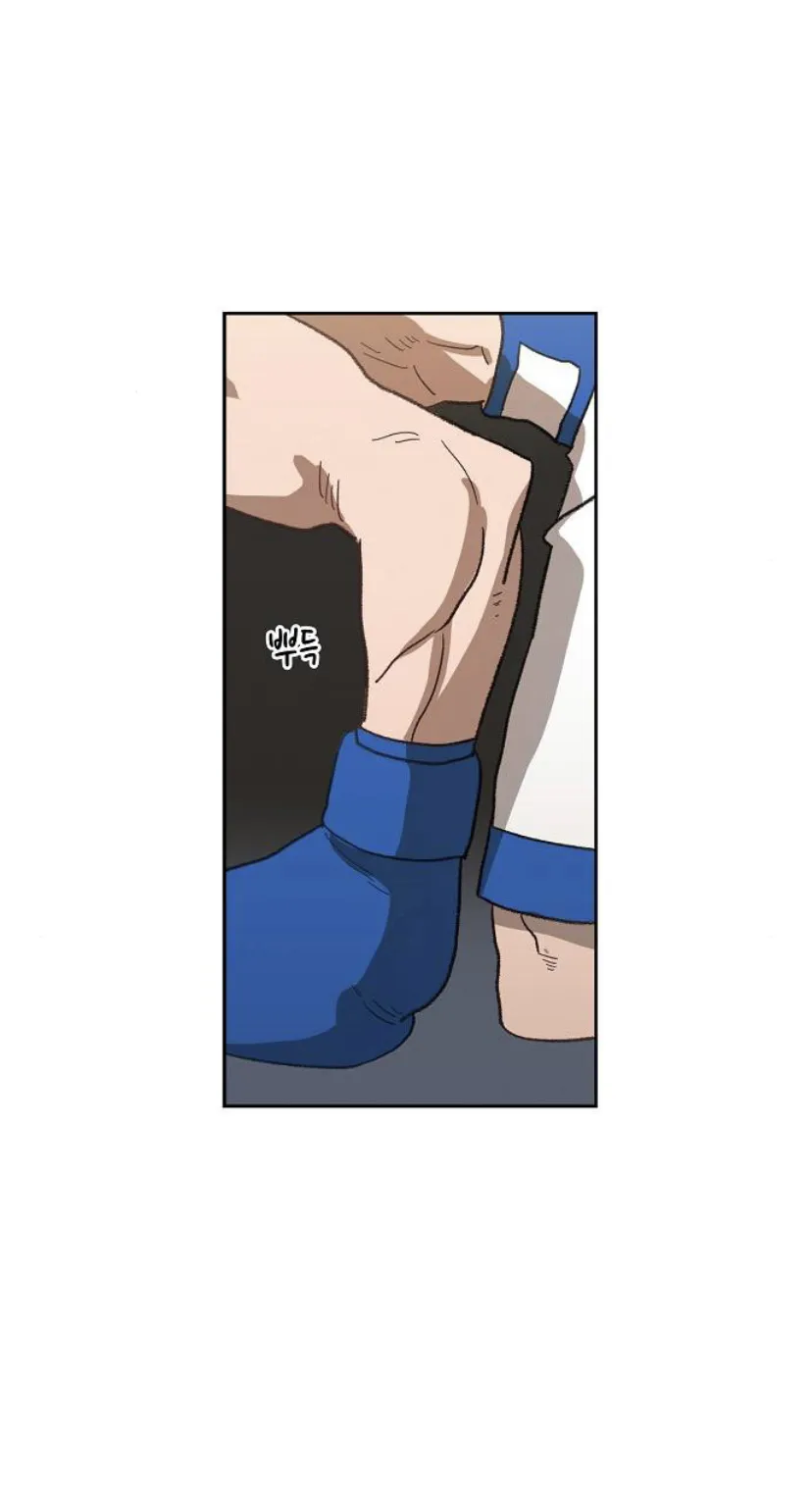 Read The Boxer AR Manga Online
