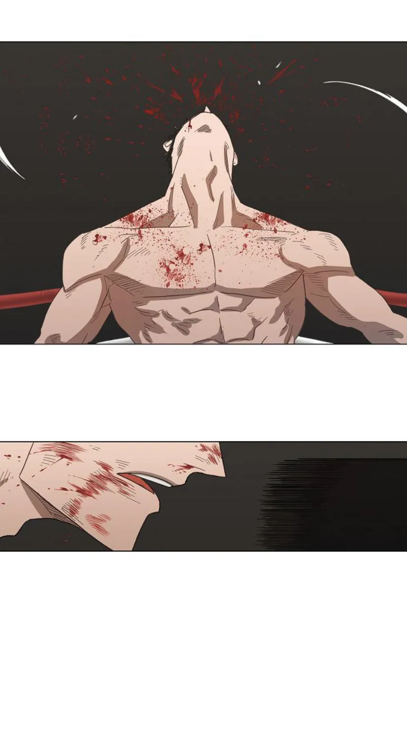 Read The Boxer AR Manga Online