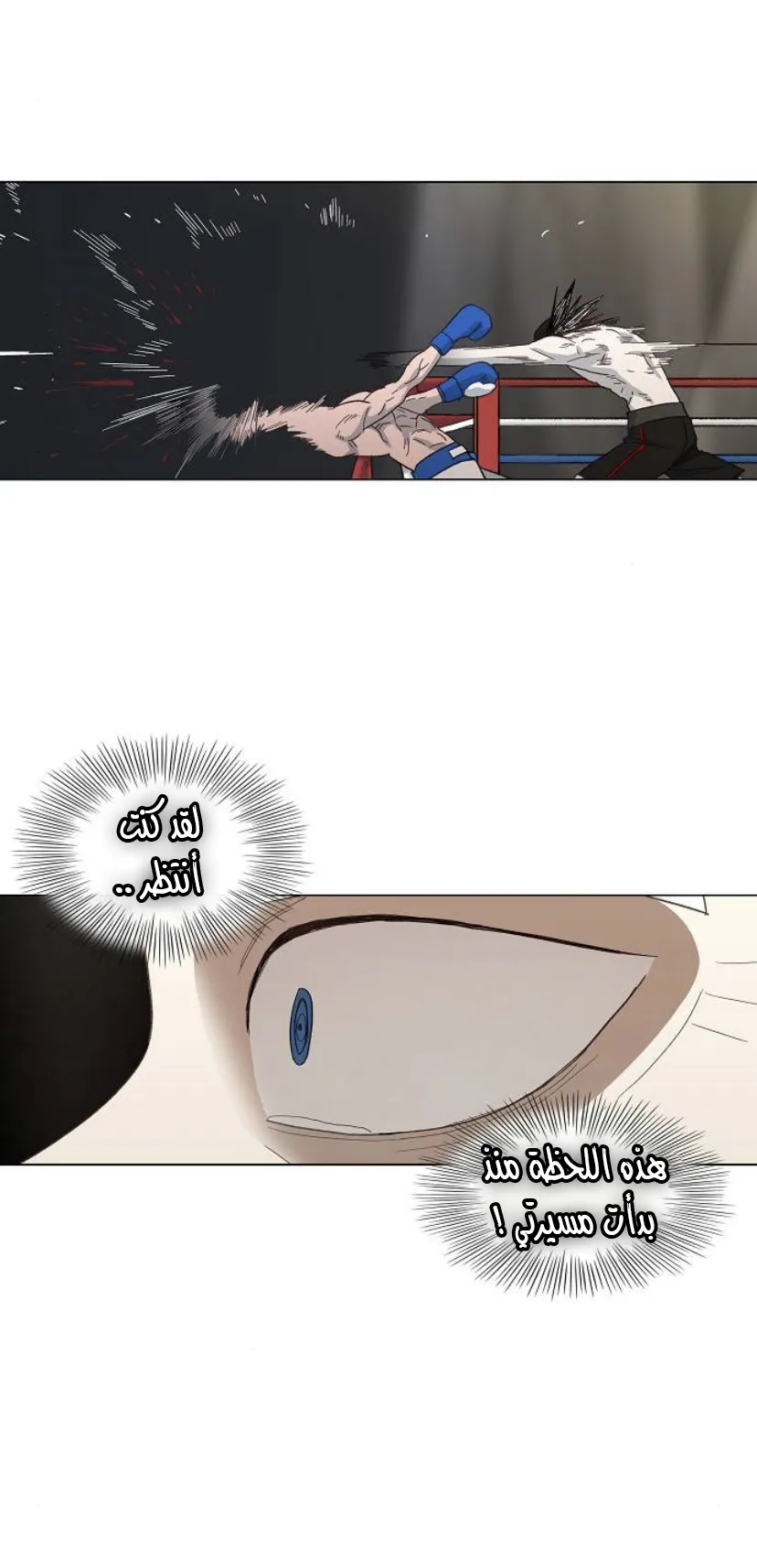 Read The Boxer AR Manga Online