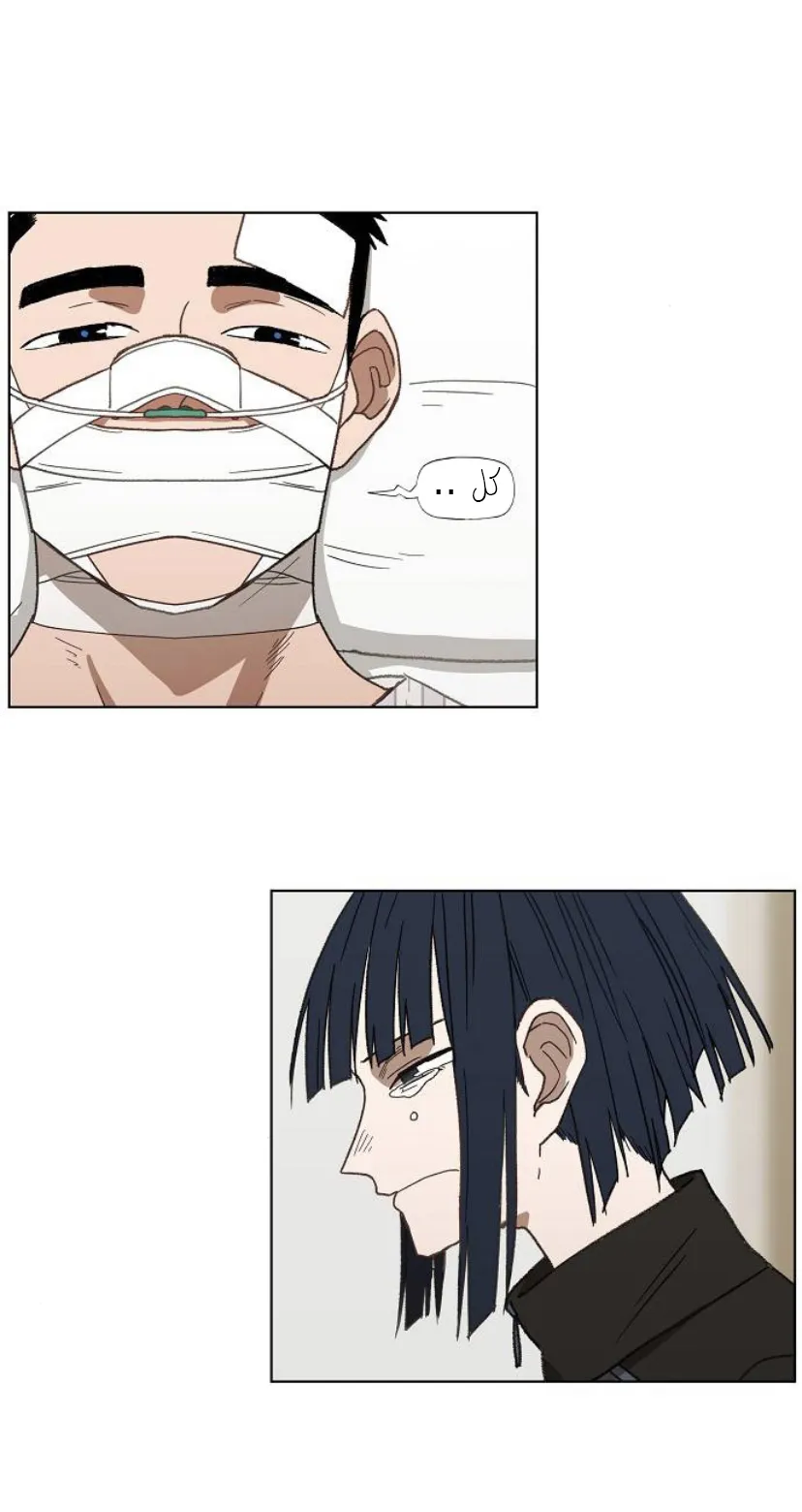 Read The Boxer AR Manga Online