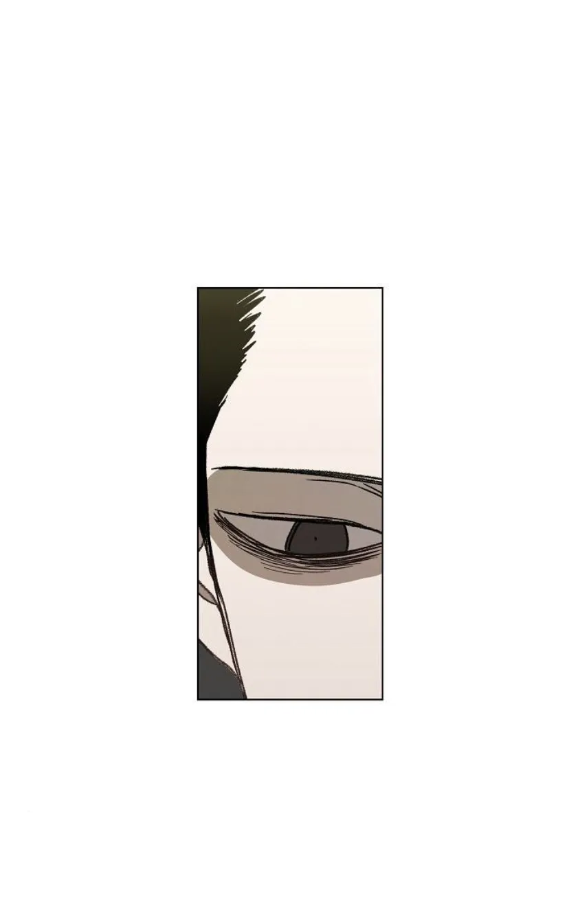 Read The Boxer AR Manga Online