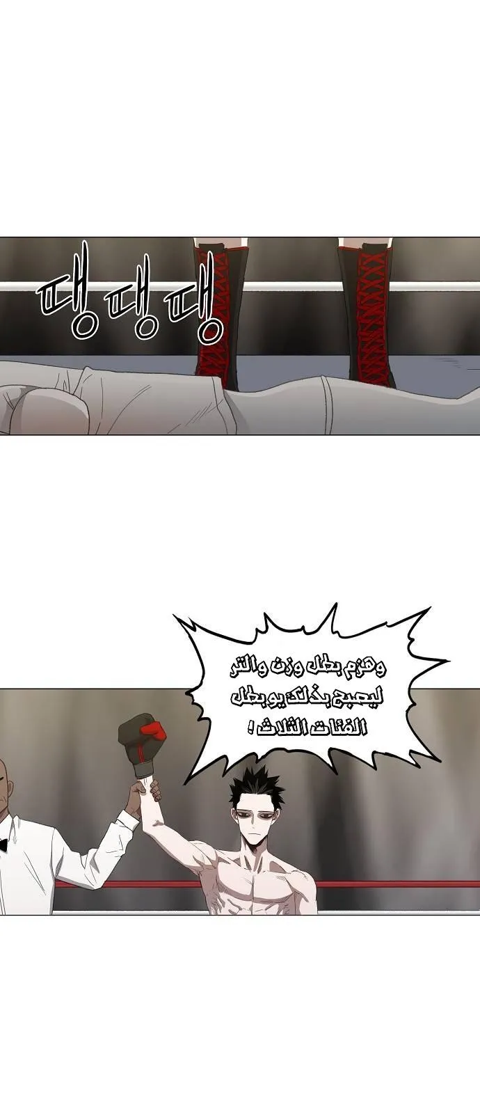 Read The Boxer AR Manga Online