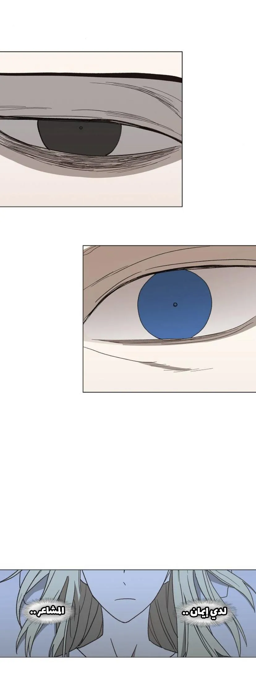 Read The Boxer AR Manga Online
