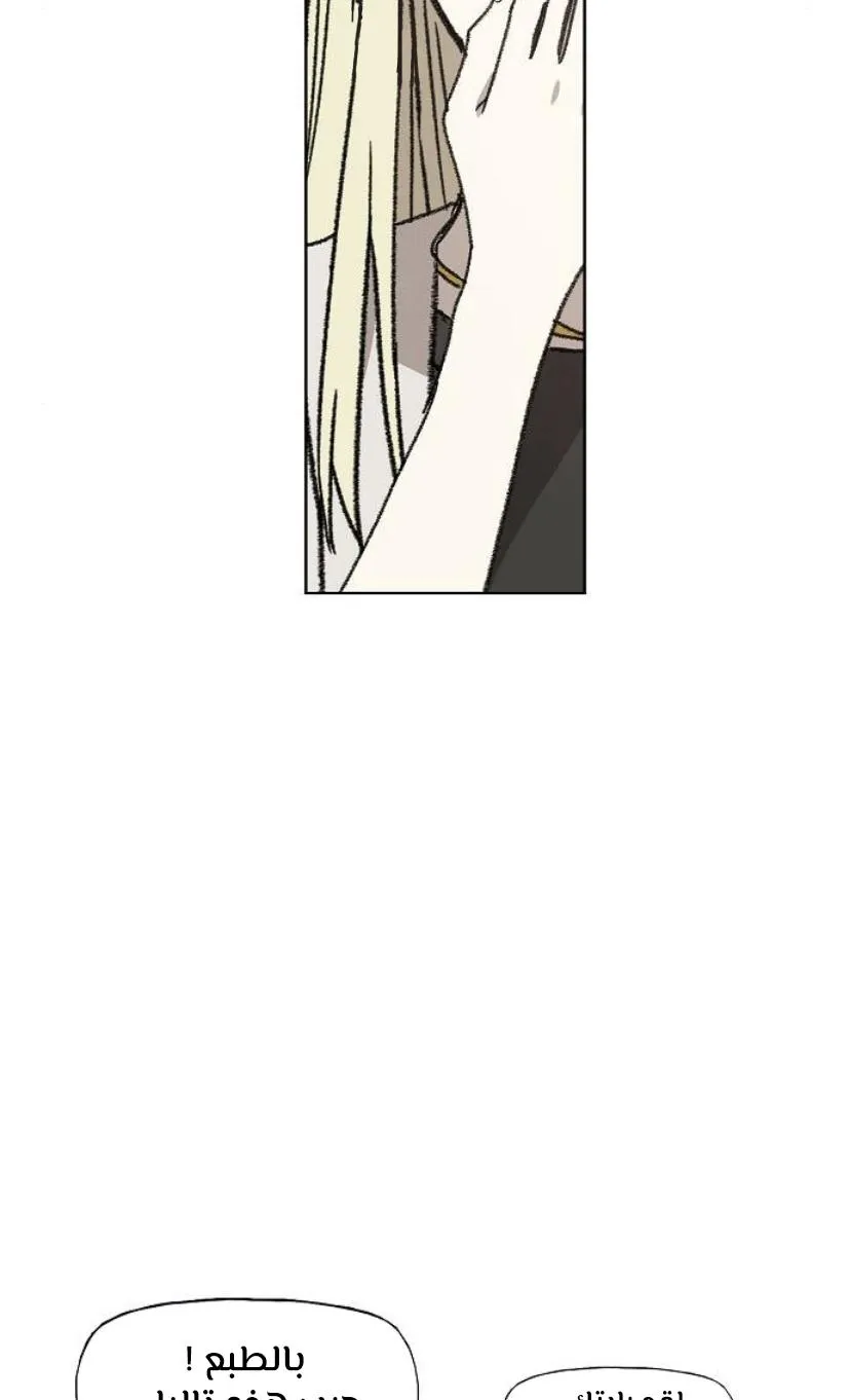 Read The Boxer AR Manga Online