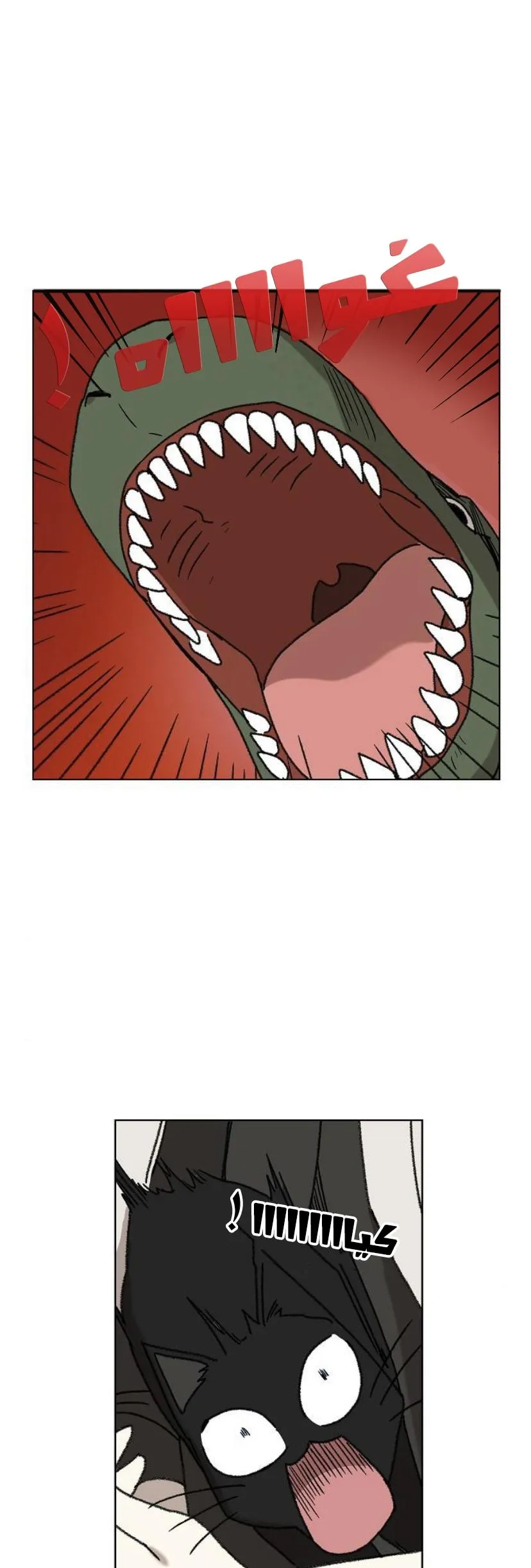 Read The Boxer AR Manga Online