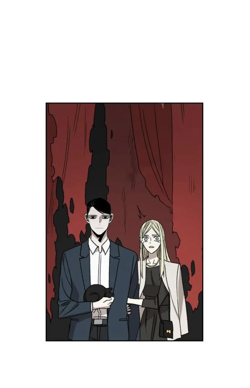 Read The Boxer AR Manga Online