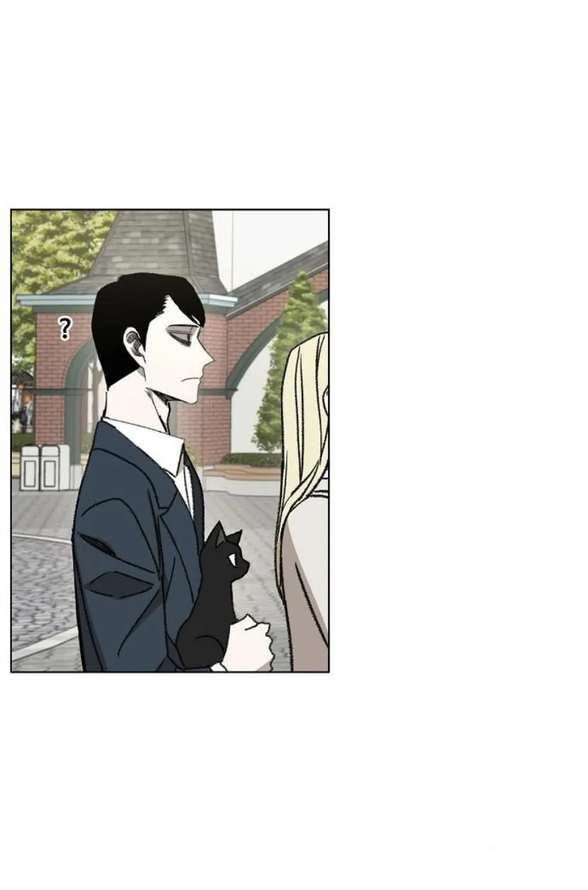 Read The Boxer AR Manga Online