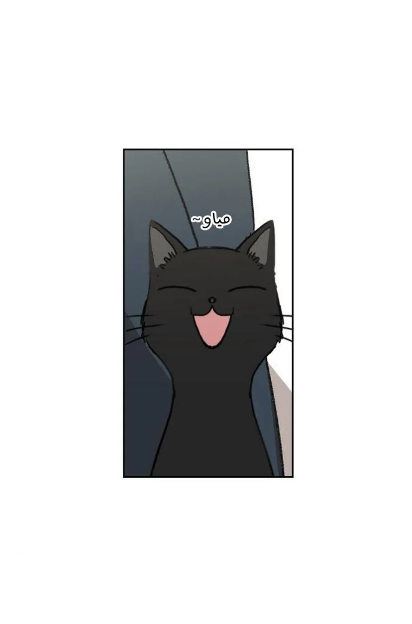 Read The Boxer AR Manga Online