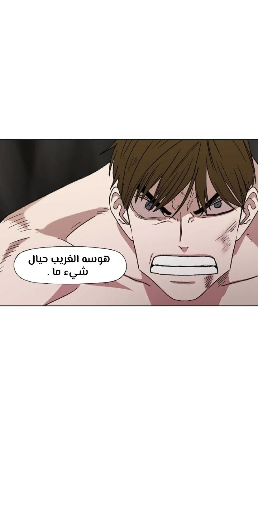 Read The Boxer AR Manga Online