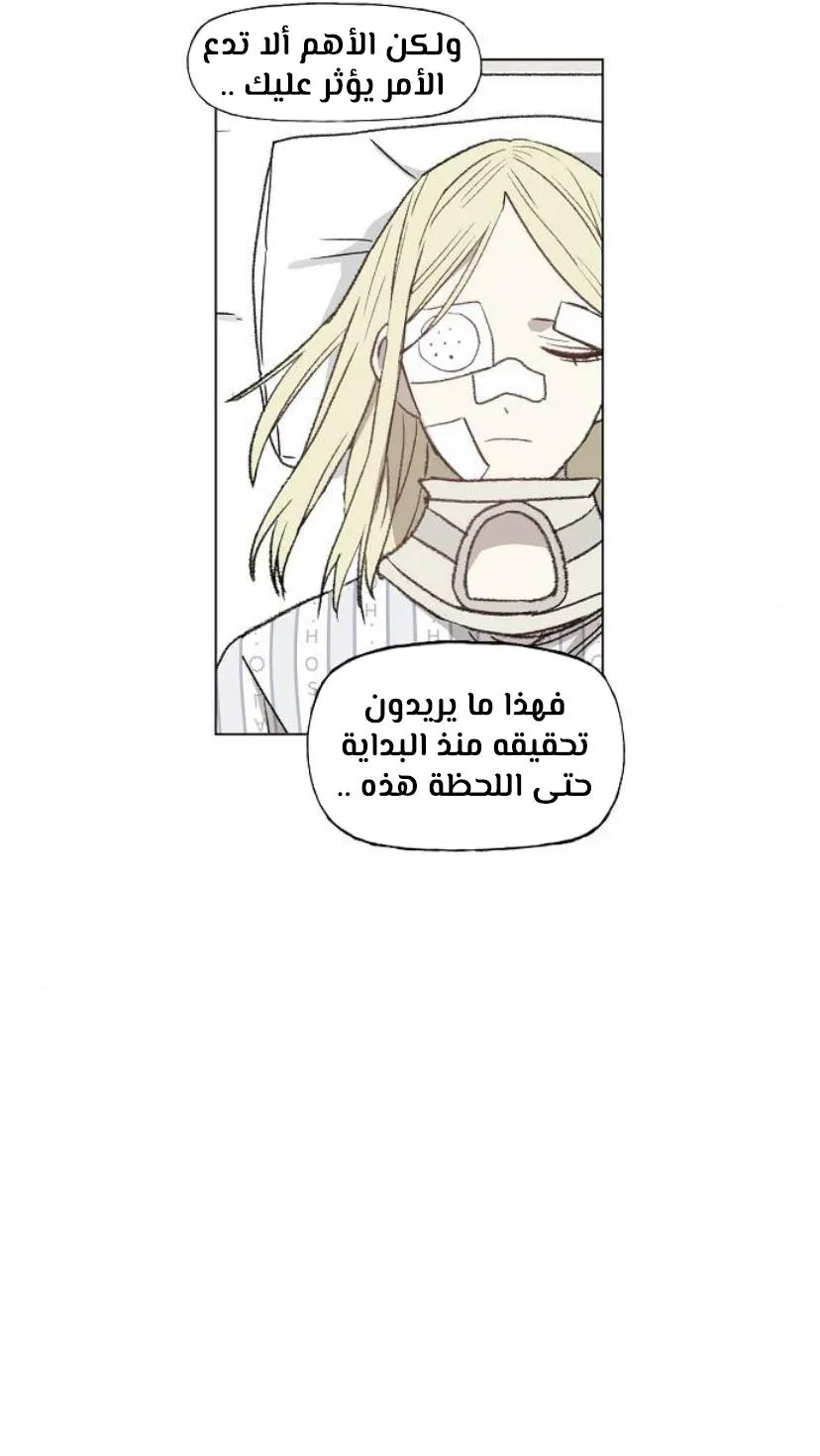 Read The Boxer AR Manga Online