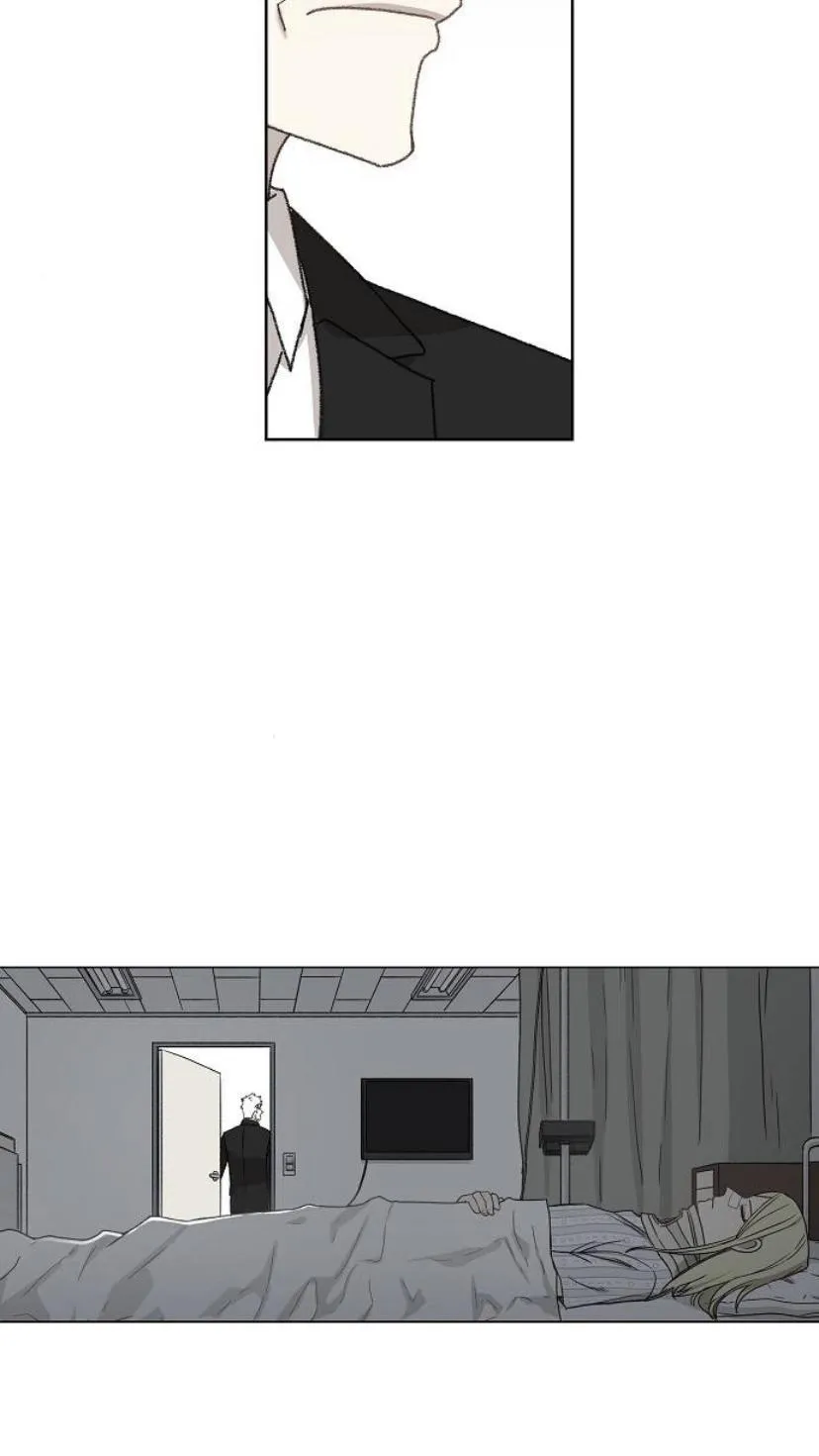 Read The Boxer AR Manga Online