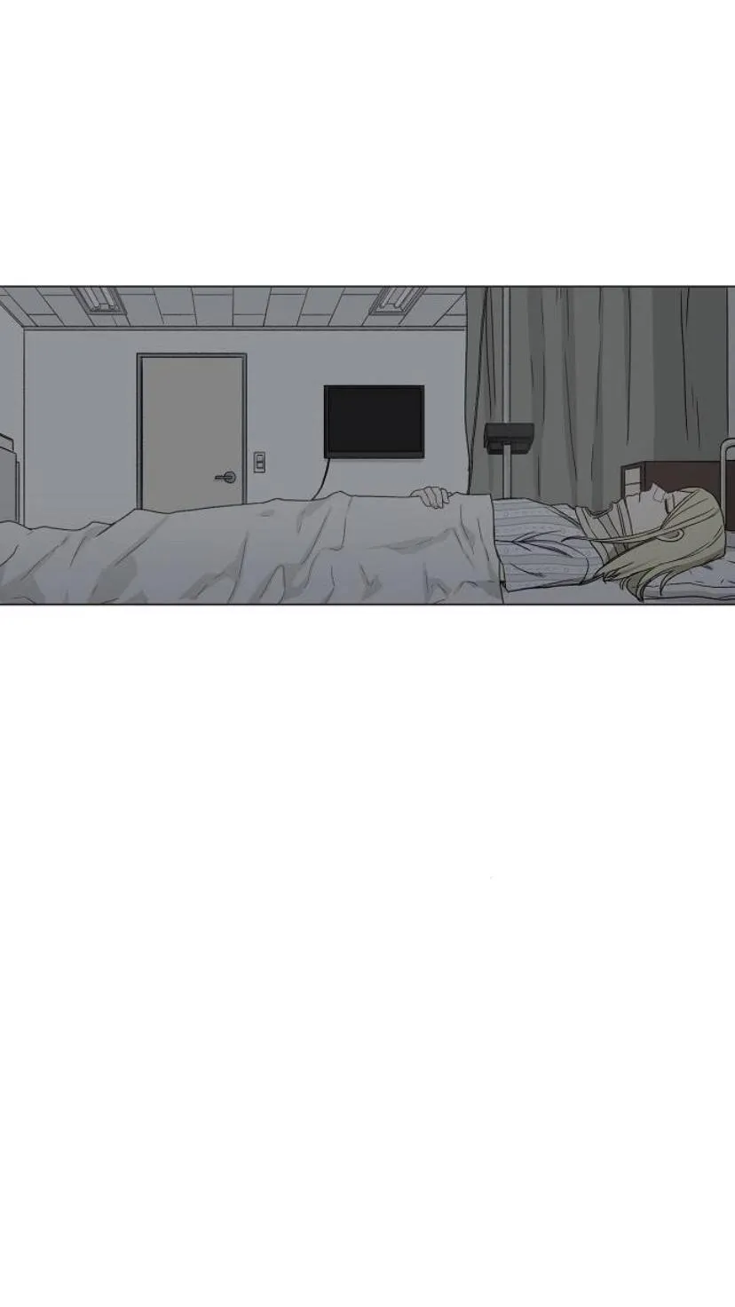 Read The Boxer AR Manga Online