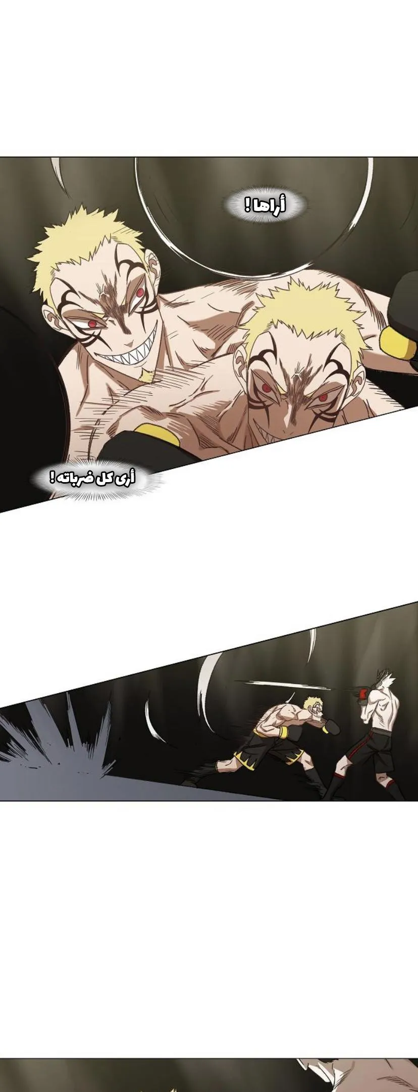 Read The Boxer AR Manga Online