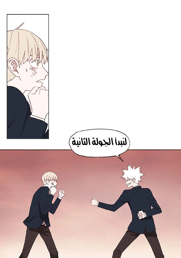 Read The Boxer AR Manga Online