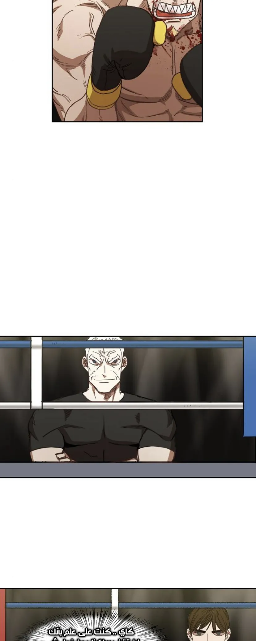 Read The Boxer AR Manga Online