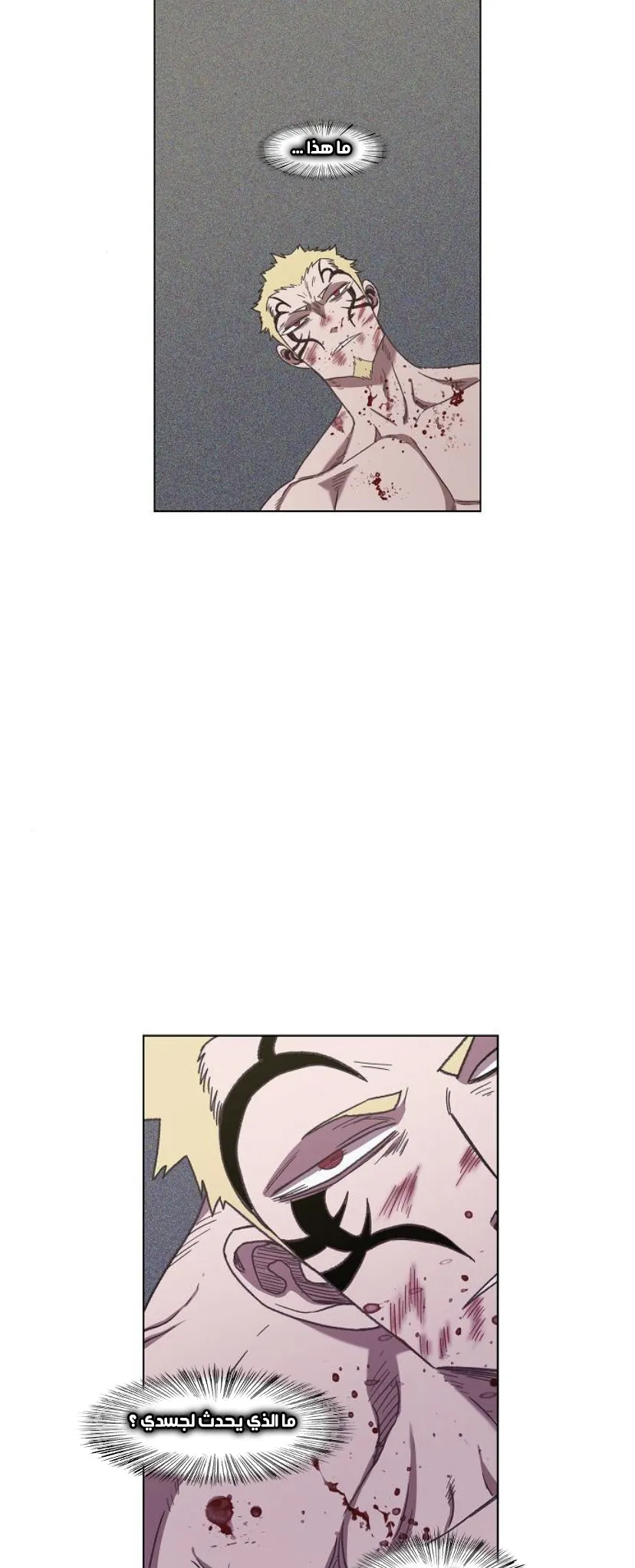 Read The Boxer AR Manga Online