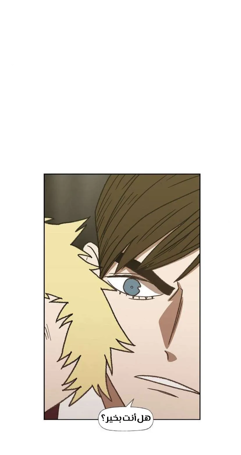 Read The Boxer AR Manga Online