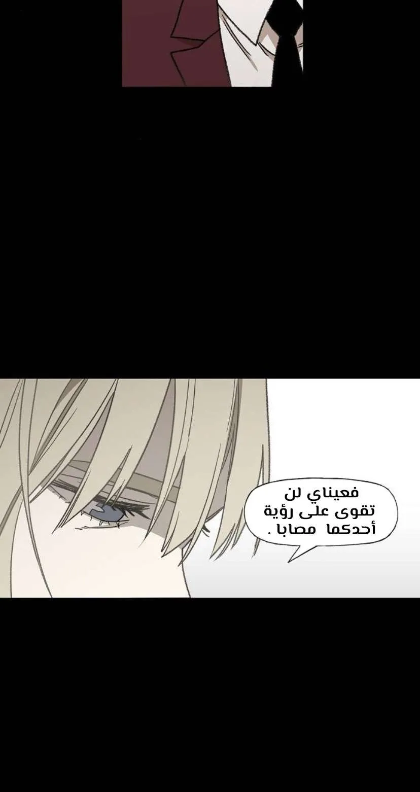 Read The Boxer AR Manga Online