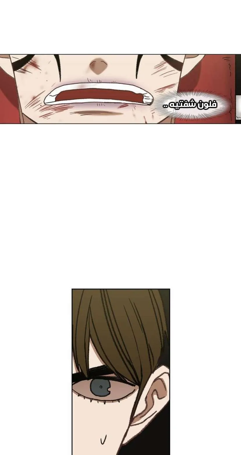 Read The Boxer AR Manga Online