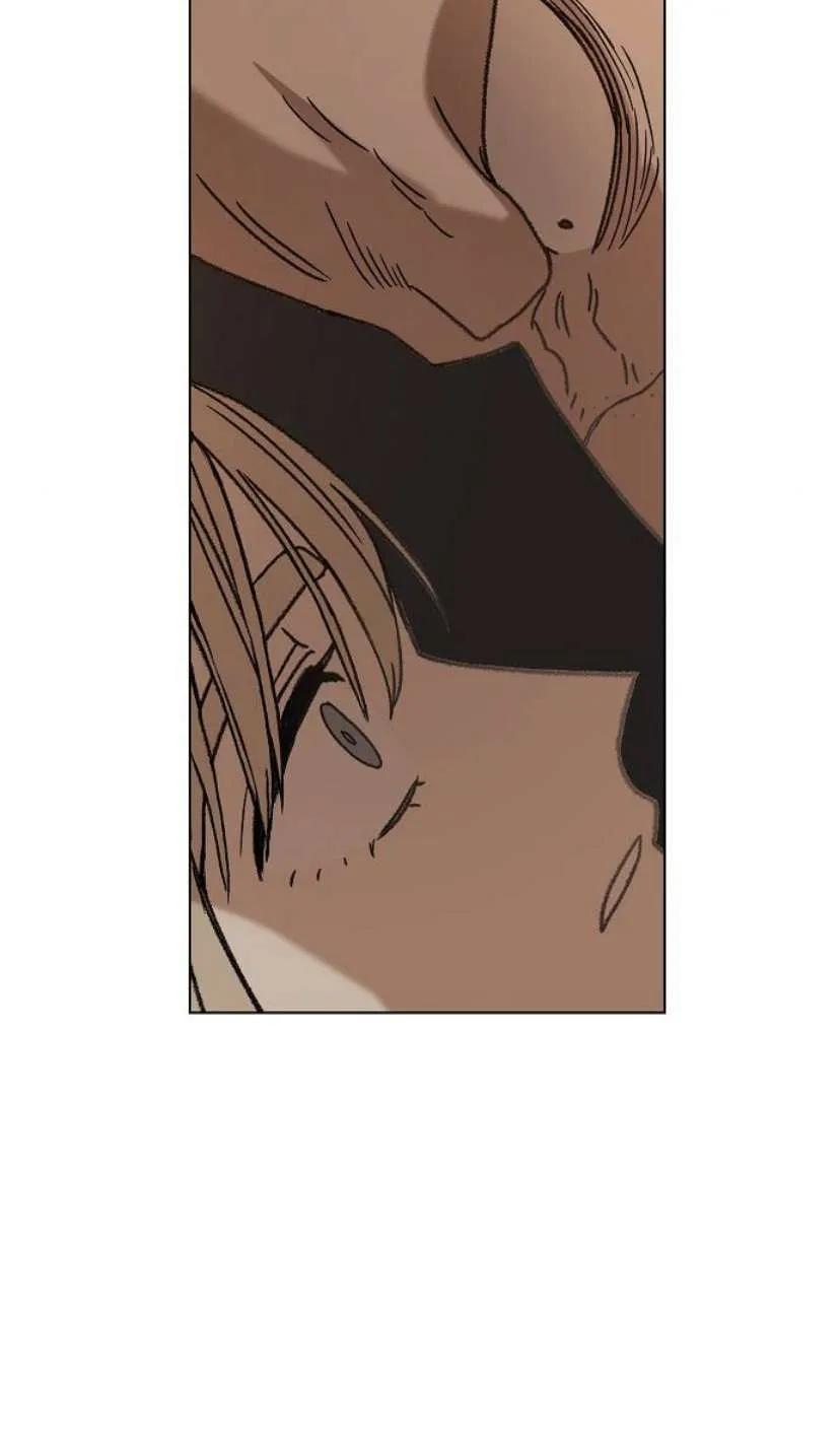 Read The Boxer AR Manga Online