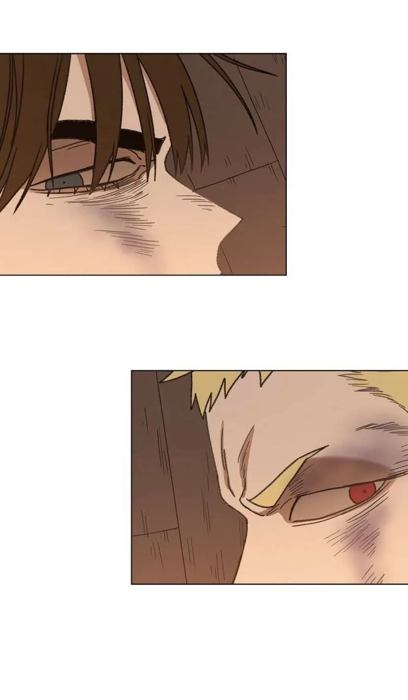 Read The Boxer AR Manga Online
