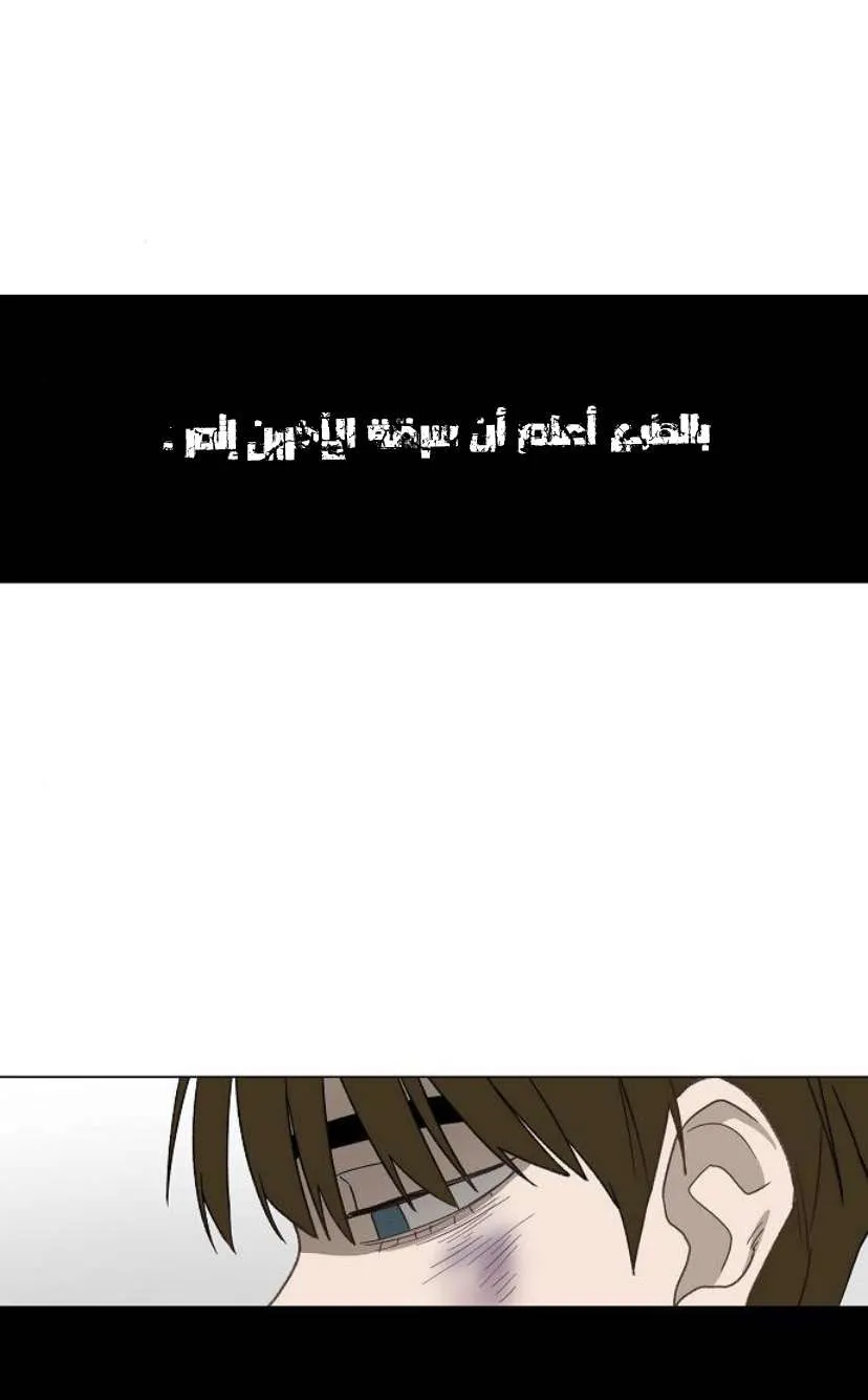 Read The Boxer AR Manga Online