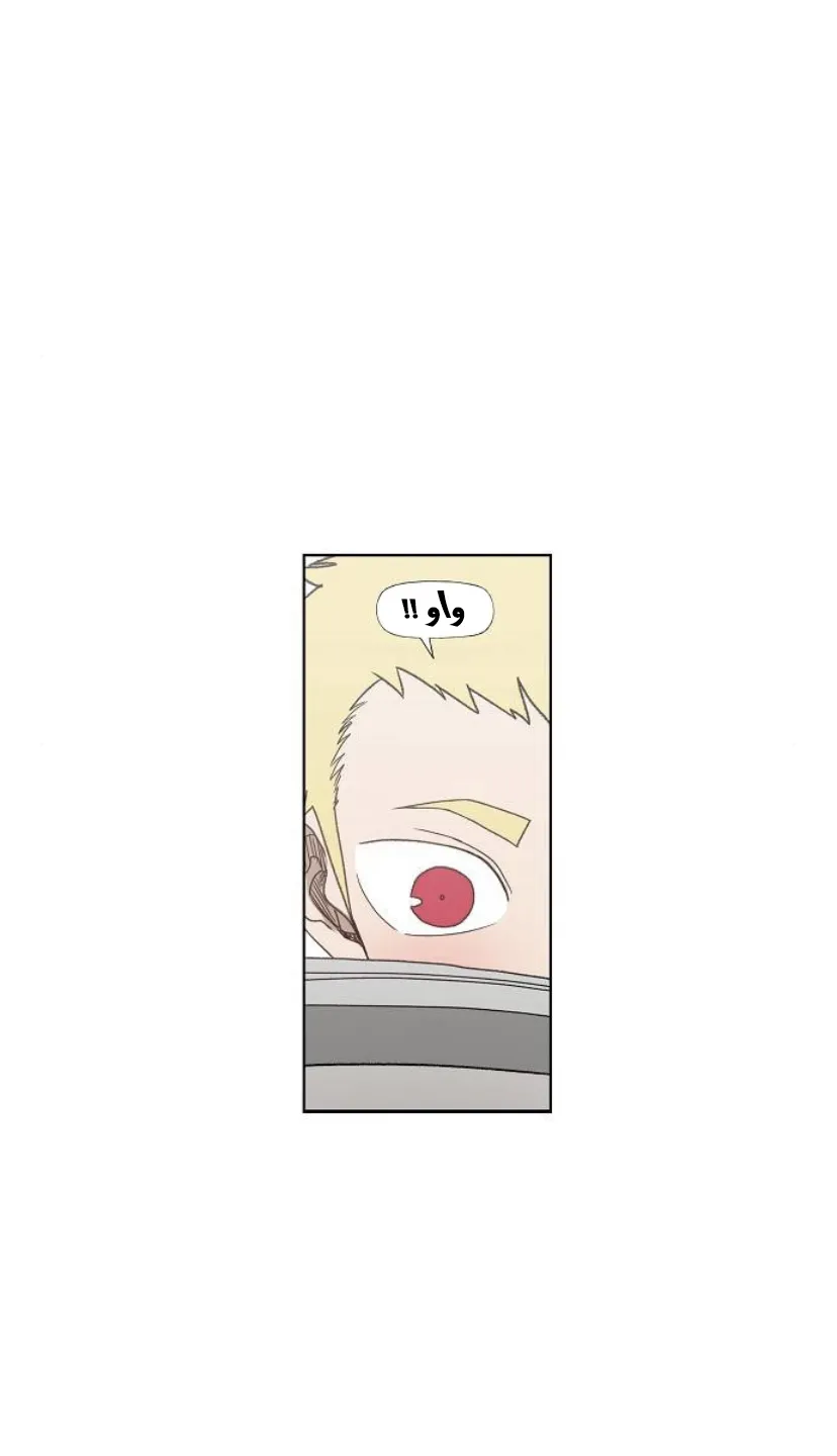 Read The Boxer AR Manga Online
