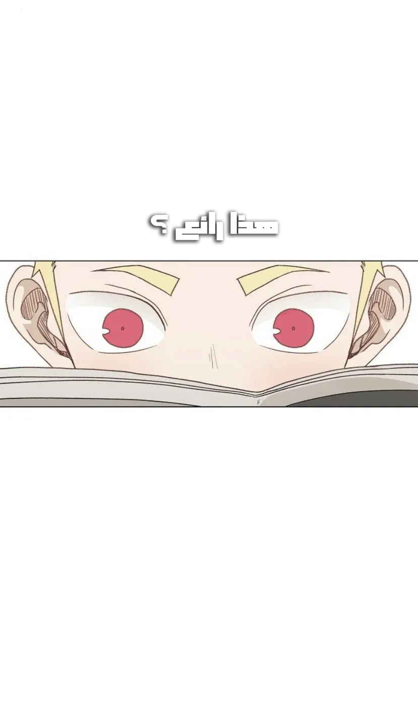 Read The Boxer AR Manga Online