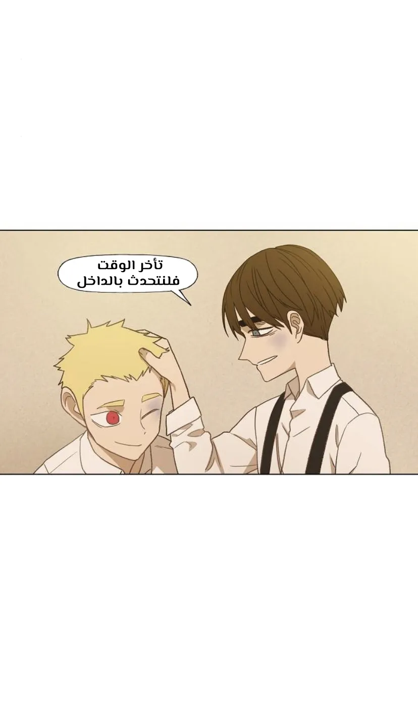 Read The Boxer AR Manga Online