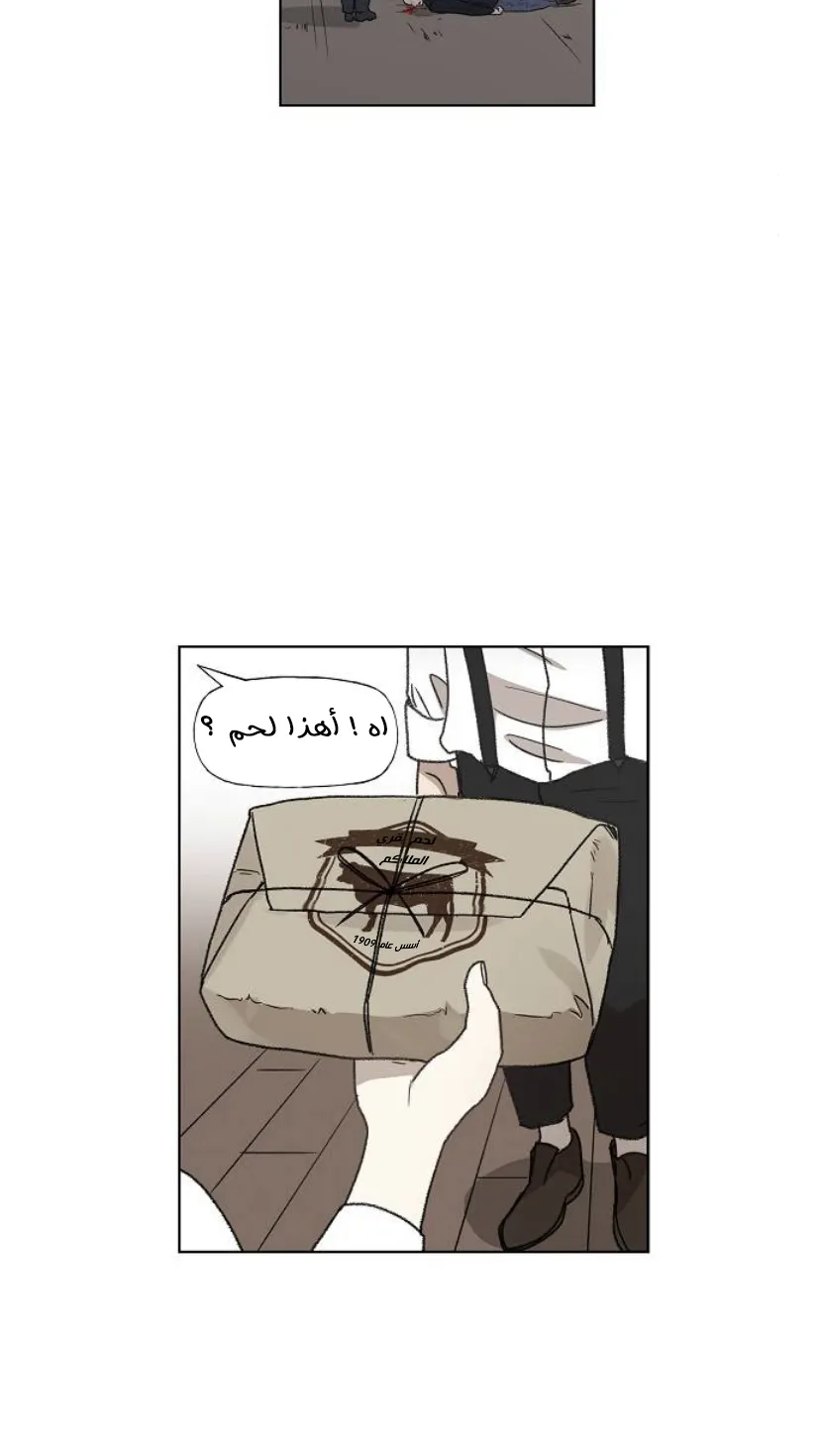 Read The Boxer AR Manga Online