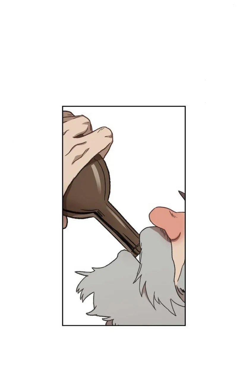 Read The Boxer AR Manga Online