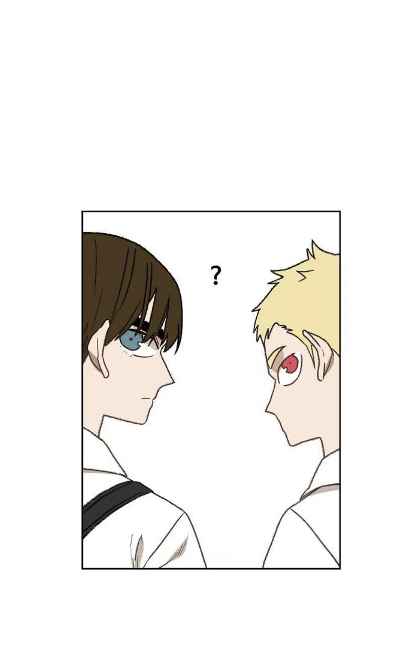 Read The Boxer AR Manga Online