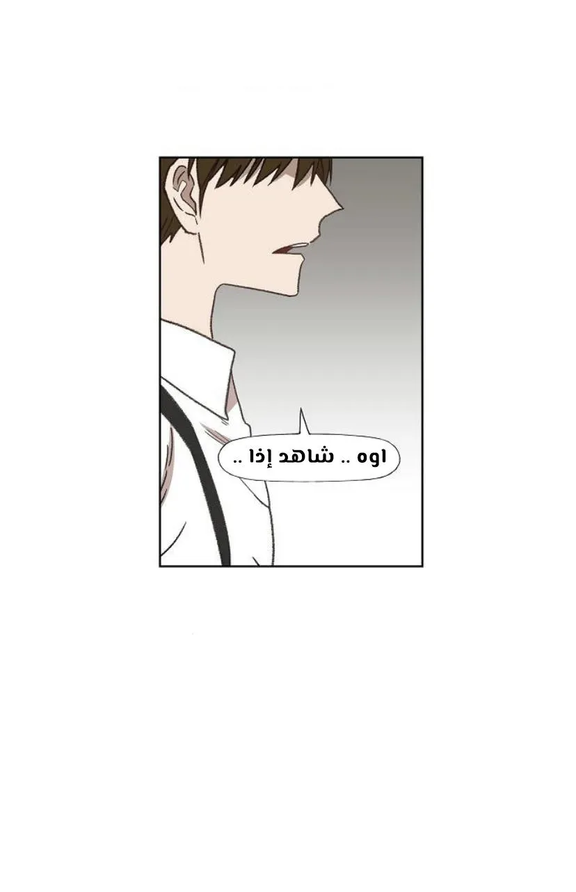 Read The Boxer AR Manga Online