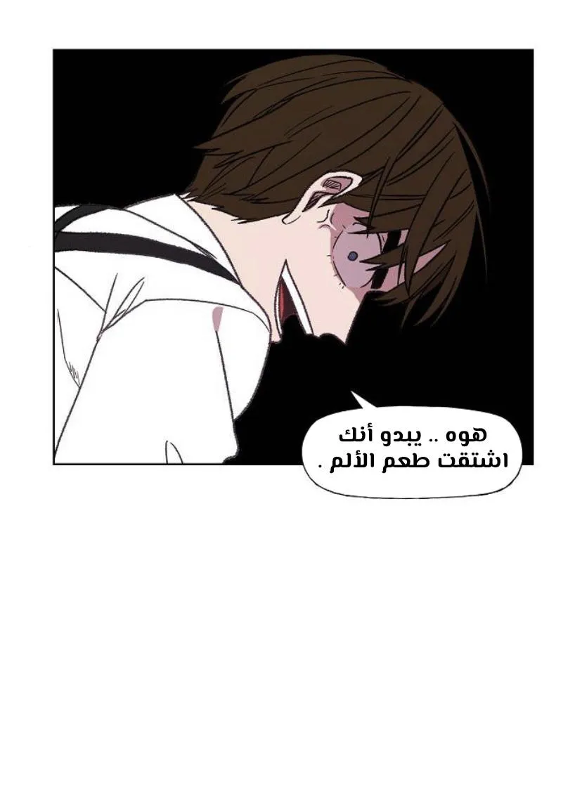 Read The Boxer AR Manga Online