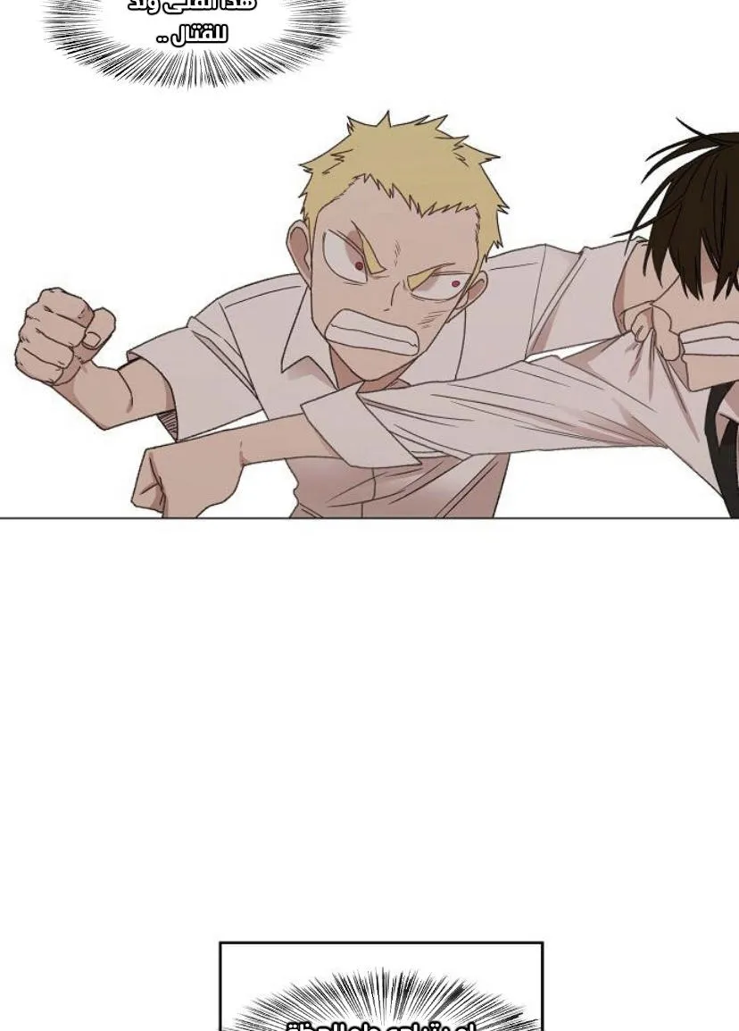 Read The Boxer AR Manga Online