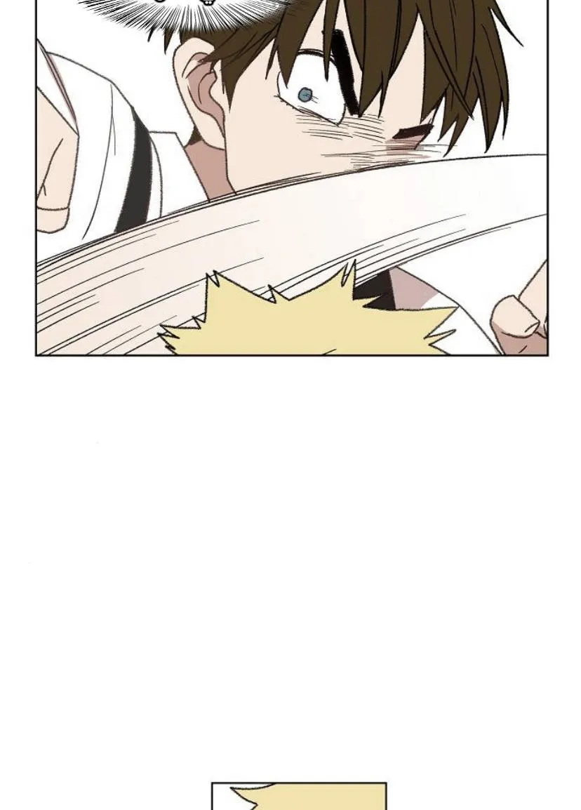 Read The Boxer AR Manga Online