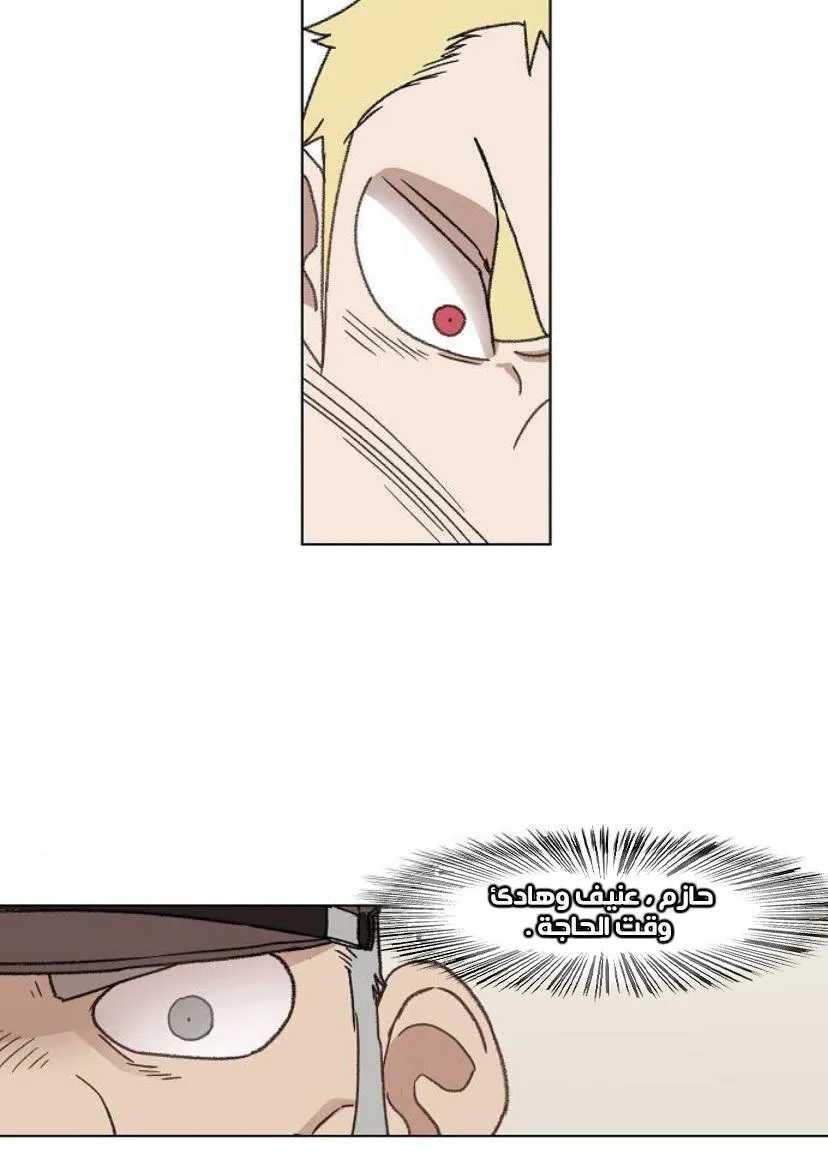 Read The Boxer AR Manga Online
